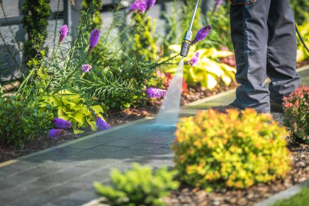 Best Driveway Pressure Washing  in Sussex, NJ